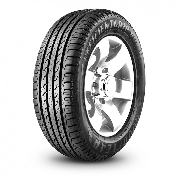 PNEU 205/65R16 95H Aro 16 GOODYEAR EFFICIENT GRIP SUV QB